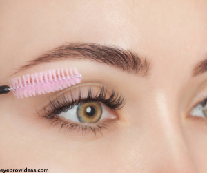 eyebrow care routine