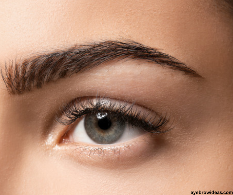 eyebrow shape best eyebrow shape eyebrow shape in 2022 3 Best Eyebrow Shape